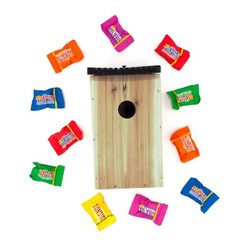 Birdhouse with Tiny Tony's - Image 2